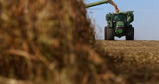 Frente da Agropecuária pede cautela e diplomacia firme diante das tarifas de Trump