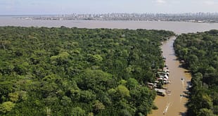 Brasil vai investir US$ 1 bilhão em fundo para proteção de florestas, dizem fontes