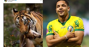 Vitor Roque, do Palmeiras, não teme punição após homofobia e debocha