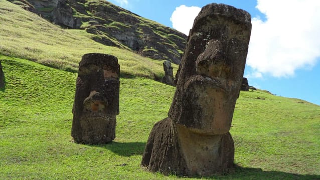 Pesquisadores descobriram que as Estátuas Moai "caminhavam" com auxílio humano.