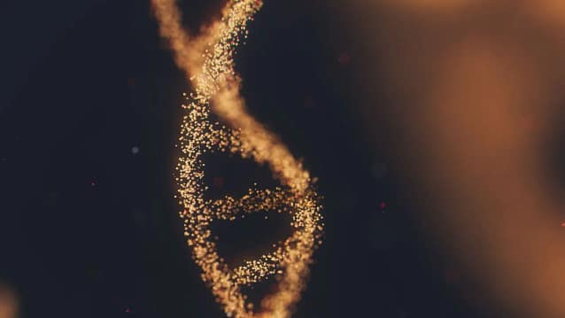 DNA do homem egípcio mais antigo do mundo.